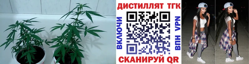 Дистиллят ТГК вейп с тгк  Чайковский 