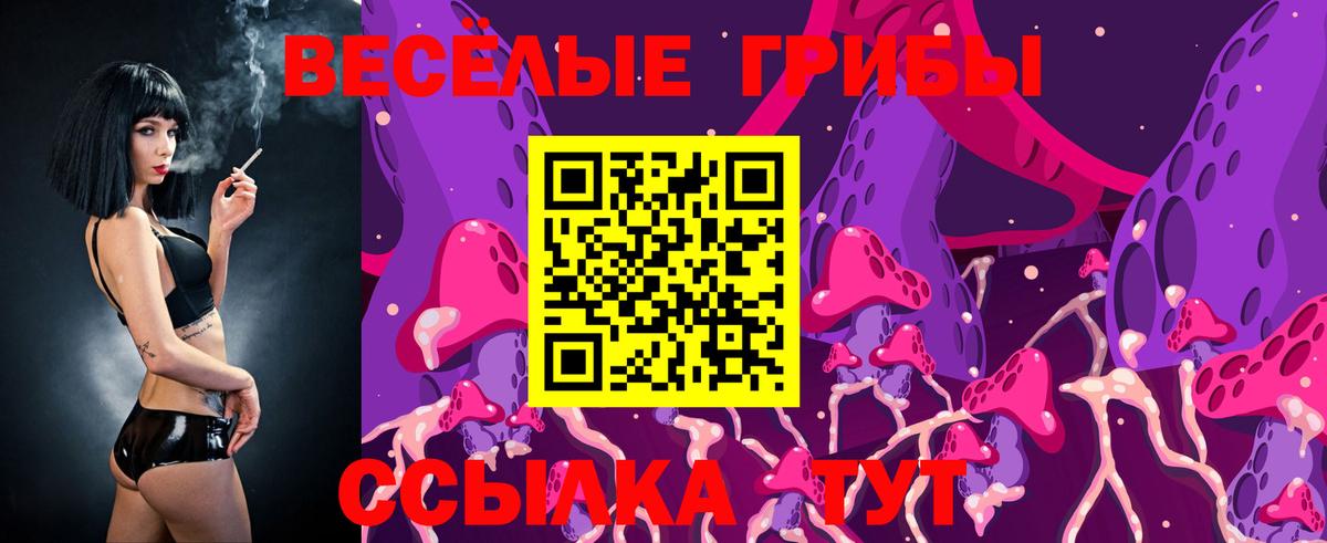 Псилоцибиновые грибы ЛСД Чайковский