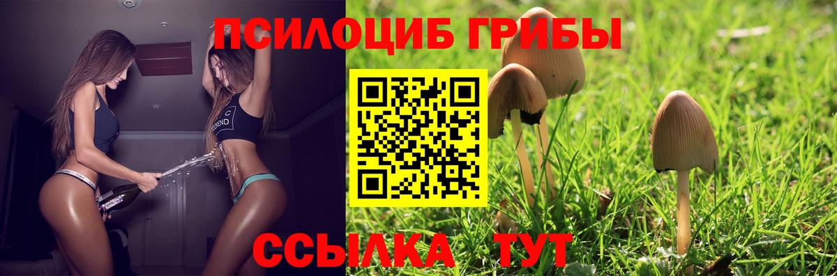Псилоцибиновые грибы Magic Shrooms  Вход с VPN  Чайковский 